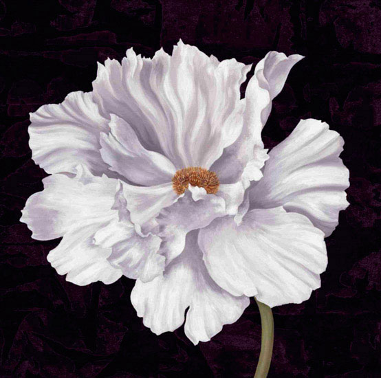 Compatible Floral Jahrriesnge  for flowers lpf09592 