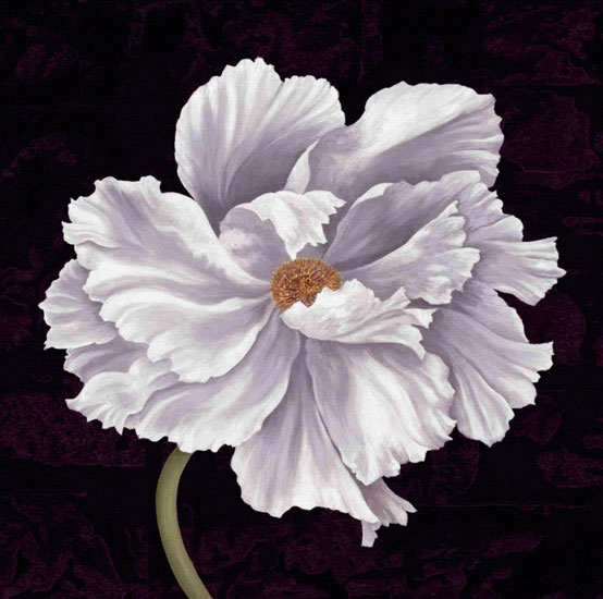 Compatible Floral Jahrriesnge  for flowers lpf09593 