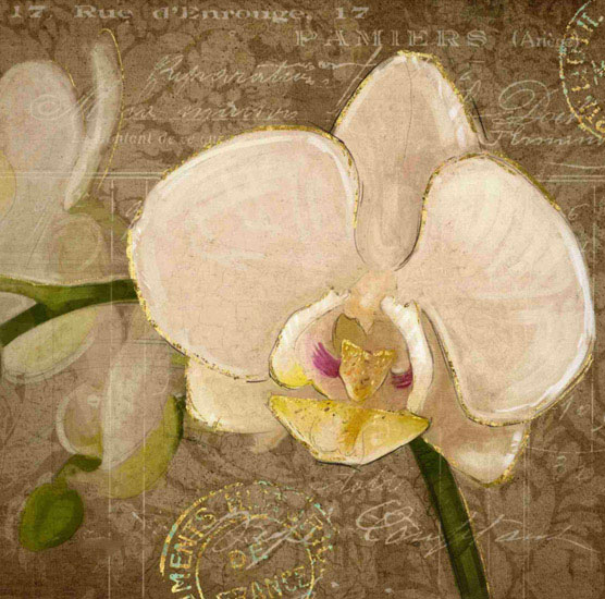 Compatible Floral Jahrriesnge  for flowers lpf09595 