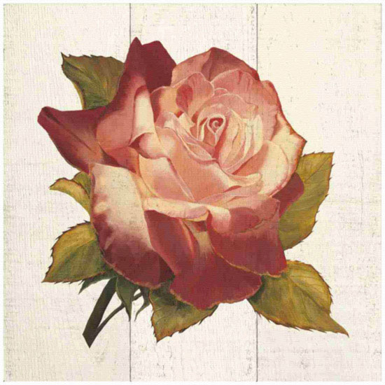 Compatible Floral Jahrriesnge  for flowers lpf09601 