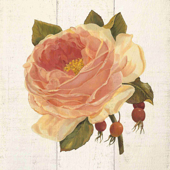 Compatible Floral Jahrriesnge  for flowers lpf09602 