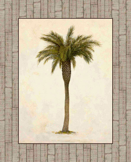 Compatible Floral Jahrriesnge  for trees lpf09607 