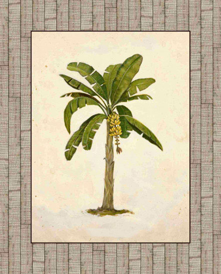 Compatible Floral Jahrriesnge  for trees lpf09609 