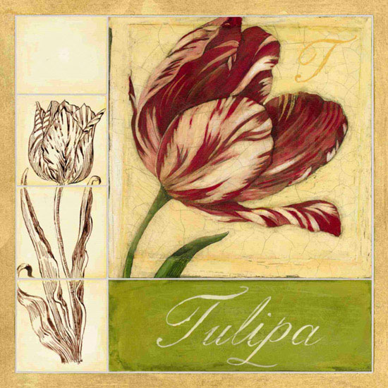 Compatible Floral Jahrriesnge  for flowers lpf09620 