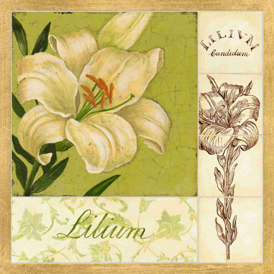 Compatible Floral Jahrriesnge  for flowers lpf09621 