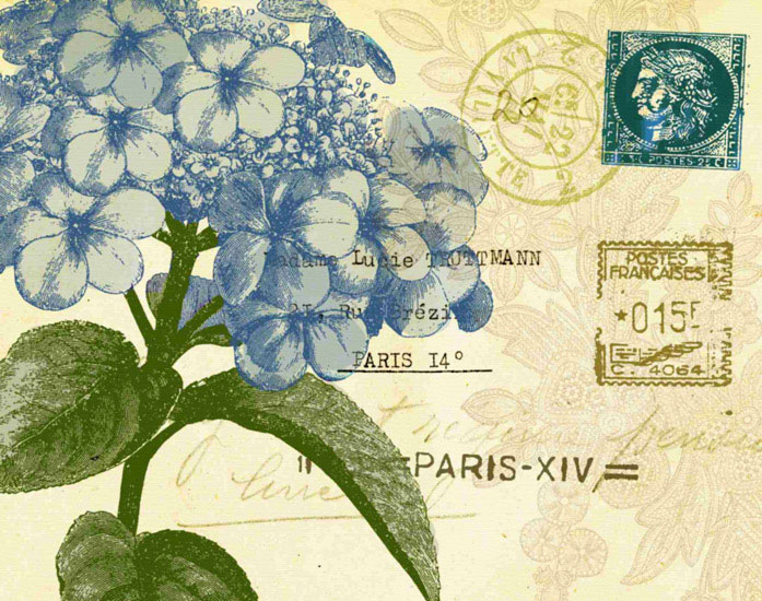 Compatible Floral Jahrriesnge  for flowers lpf09627 