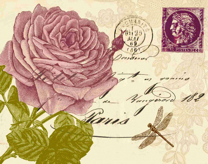 Compatible Floral Jahrriesnge  for flowers lpf09628 