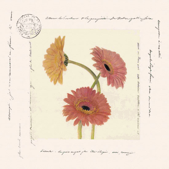 Compatible Floral Jahrriesnge  for flowers lpf09642 