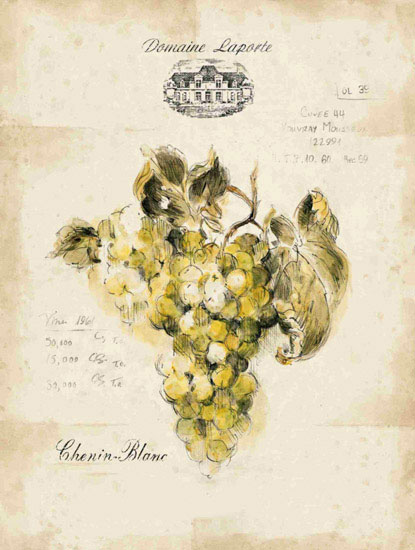 Compatible Floral Jahrriesnge  for grapes lpf09657 