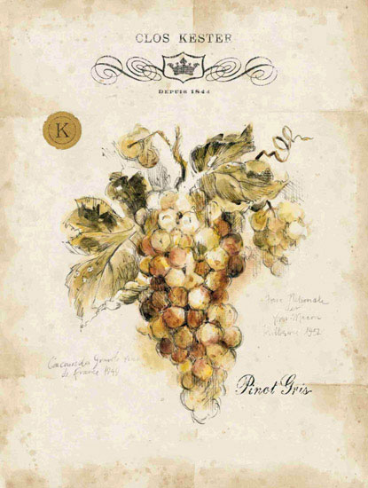 Compatible Floral Jahrriesnge  for grapes lpf09658 