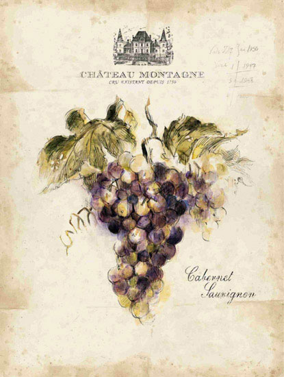 Compatible Floral Jahrriesnge  for grapes lpf09659 