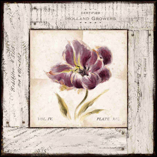 Compatible Floral Jahrriesnge  for flowers lpf09666 