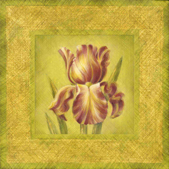 Compatible Floral Jahrriesnge  for flowers lpf09667 