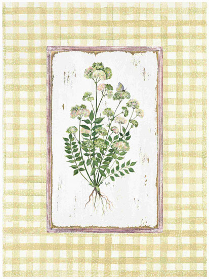 Compatible Floral Jahrriesnge  for flowers lpf09675 