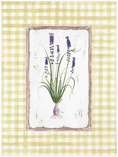 Compatible Floral Jahrriesnge  for flowers lpf09676 