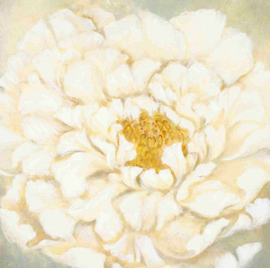 Compatible Floral Jahrriesnge  for flowers lpf09689 