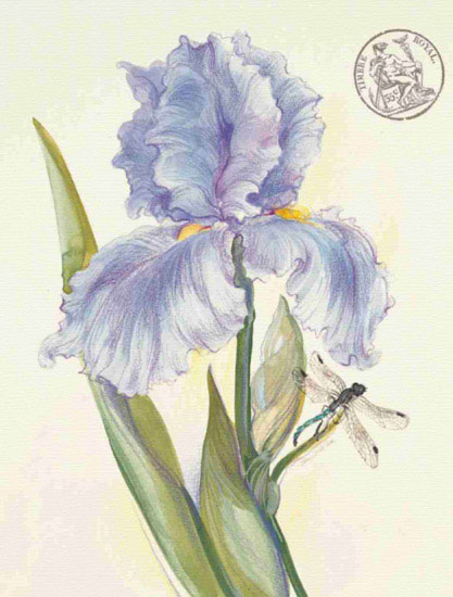 Compatible Floral Jahrriesnge  for flowers lpf09693 