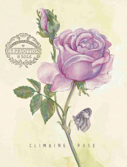 Compatible Floral Jahrriesnge  for flowers lpf09694 