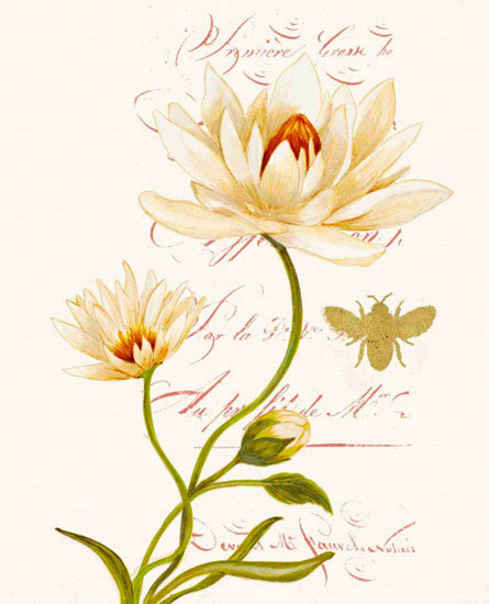 Compatible Floral Jahrriesnge  for flowers lpf09700 