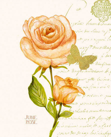 Compatible Floral Jahrriesnge  for flowers lpf09701 