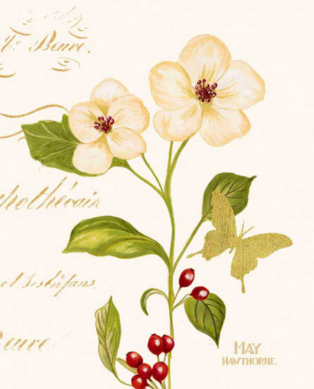 Compatible Floral Jahrriesnge  for flowers lpf09702 