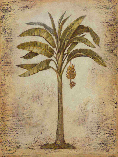 Compatible Floral Jahrriesnge  for flowers lpf09748 