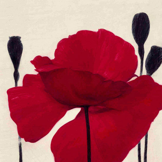 Compatible Floral Jahrriesnge  for flowers lpf09771 