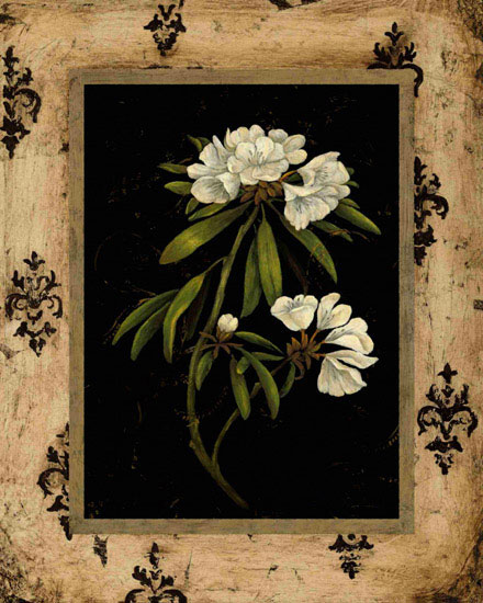 Compatible Floral Jahrriesnge  for flowers lpf09781 