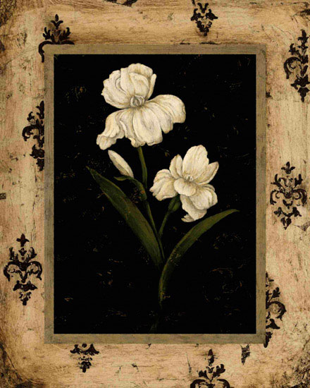 Compatible Floral Jahrriesnge  for flowers lpf09784 