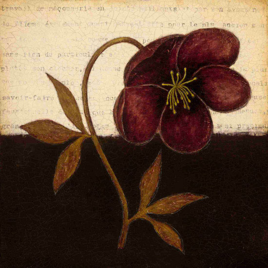 Compatible Floral Jahrriesnge  for flowers lpf09791 