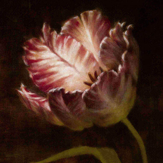 Compatible Floral Jahrriesnge  for flowers lpf09817 