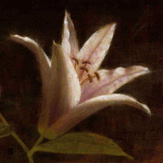 Compatible Floral Jahrriesnge  for flowers lpf09818 