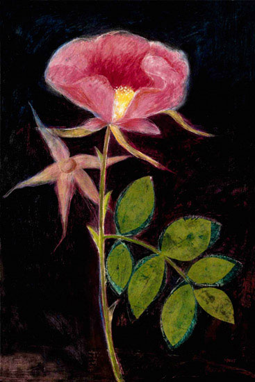 Compatible Floral Jahrriesnge  for flowers lpf09828 