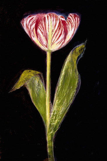 Compatible Floral Jahrriesnge  for flowers lpf09829 