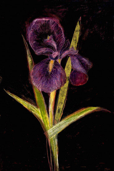 Compatible Floral Jahrriesnge  for flowers lpf09830 