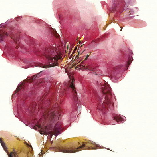 Compatible Floral Jahrriesnge  for flowers lpf09838 