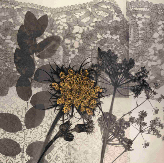 Compatible Floral Jahrriesnge  for flowers lpf09865 