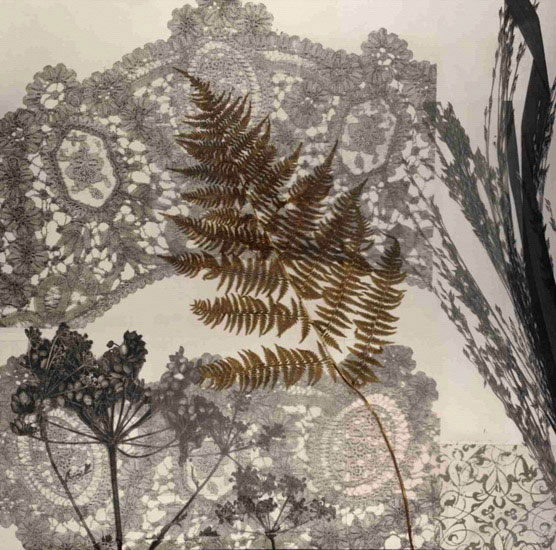 Compatible Floral Jahrriesnge  for flowers lpf09866 