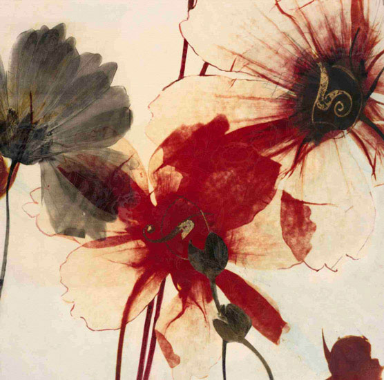 Compatible Floral Jahrriesnge  for flowers lpf09870 