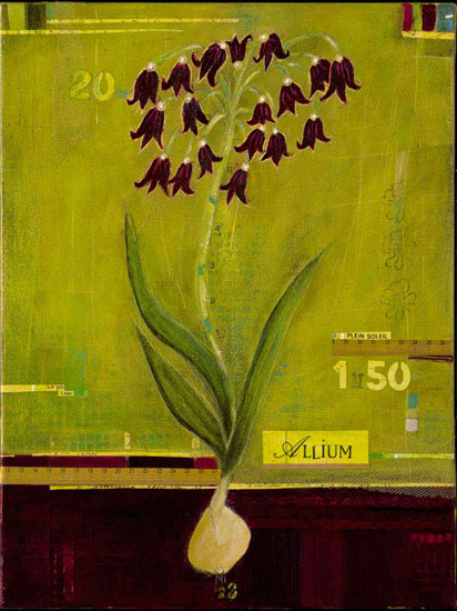 Compatible Floral Jahrriesnge  for flowers lpf09883 