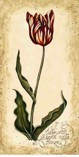 Compatible Floral Jahrriesnge  for flowers lpf09891 