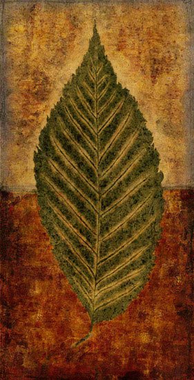 Compatible Floral Jahrriesnge  for leaf lpf09901 