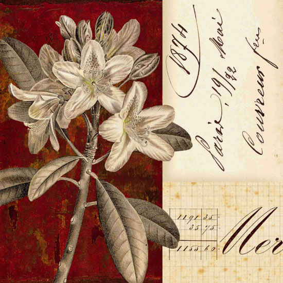 Compatible Floral Jahrriesnge  for flowers lpf09921 