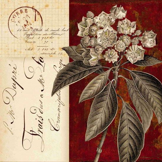 Compatible Floral Jahrriesnge  for flowers lpf09922 