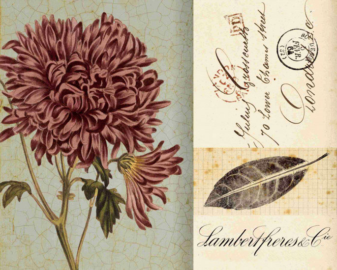 Compatible Floral Jahrriesnge  for flowers lpf09923 