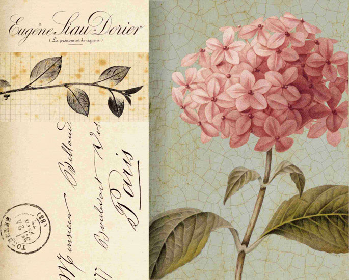 Compatible Floral Jahrriesnge  for flowers lpf09924 