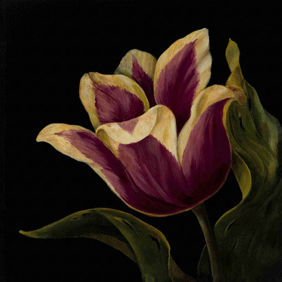 Compatible Floral Jahrriesnge  for flowers lpf09936 