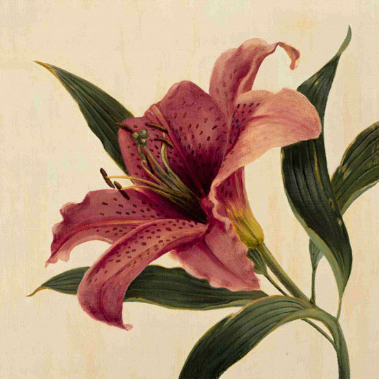 Compatible Floral Jahrriesnge  for flowers lpf09938 