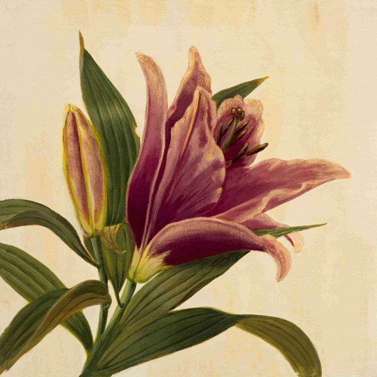 Compatible Floral Jahrriesnge  for flowers lpf09939 