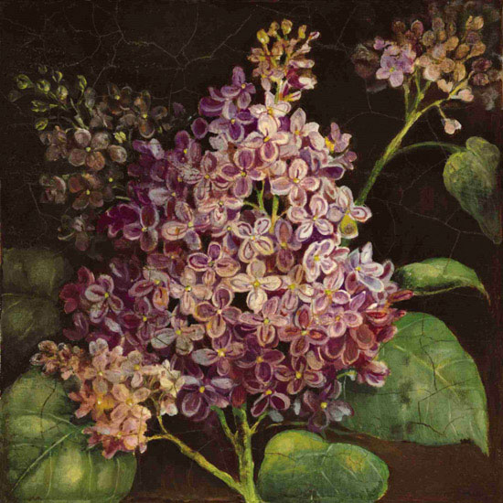 Compatible Floral Jahrriesnge  for flowers lpf09942 